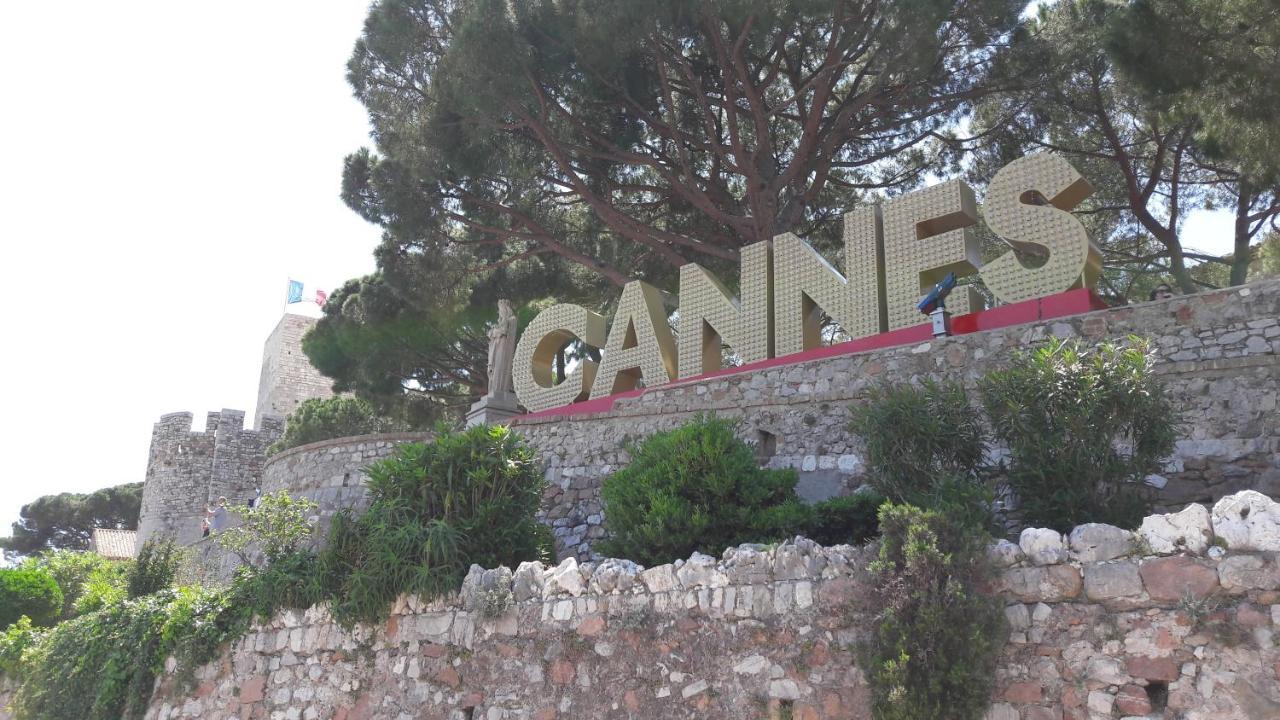 Near The Cannes